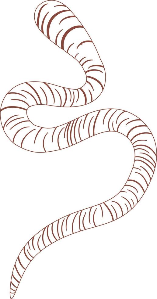 Earthworm Outline top view 2d illustration vector