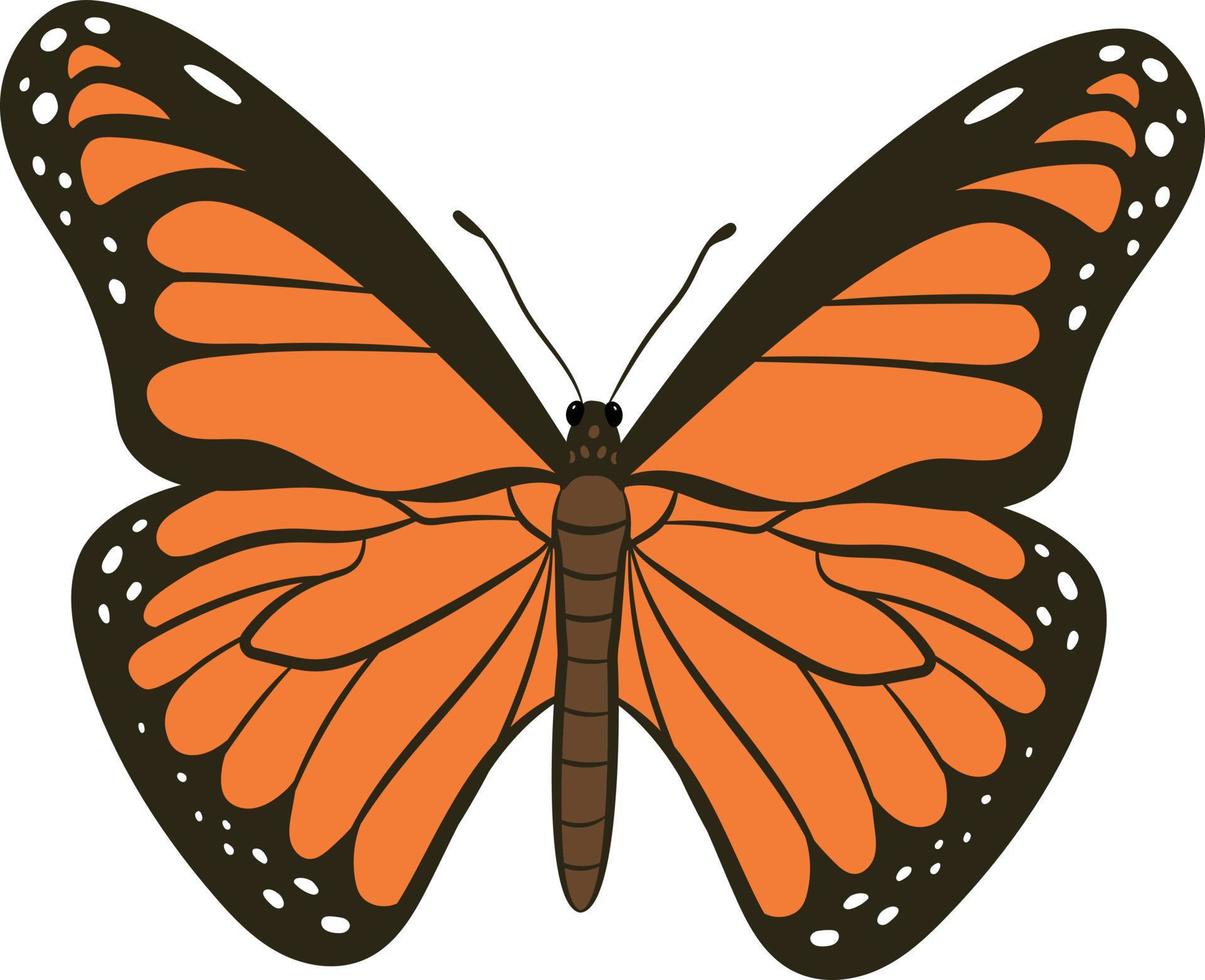 mariposa vista superior 2d ilustración vector