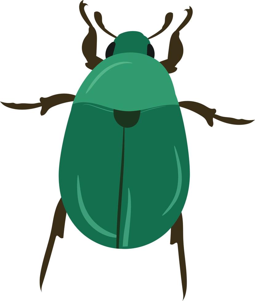 Beetle top view 2d illustration vector