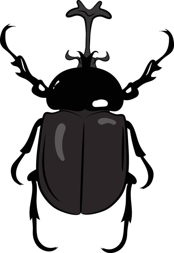 Rhino Beetle top view 2d illustration vector