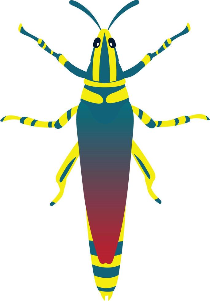 Grasshopper top view 2d illustration vector