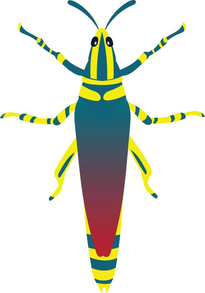 Grasshopper top view 2d illustration vector