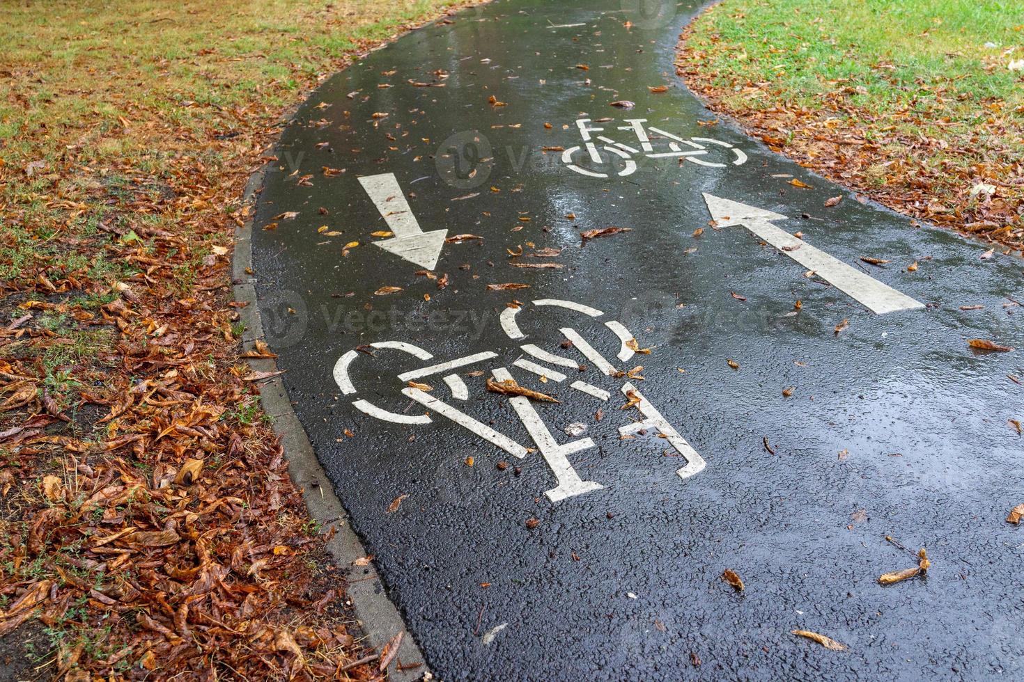 autumn leaves on the road photo