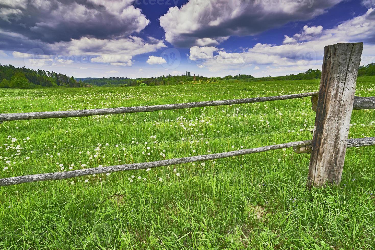 Meadow and fence photo