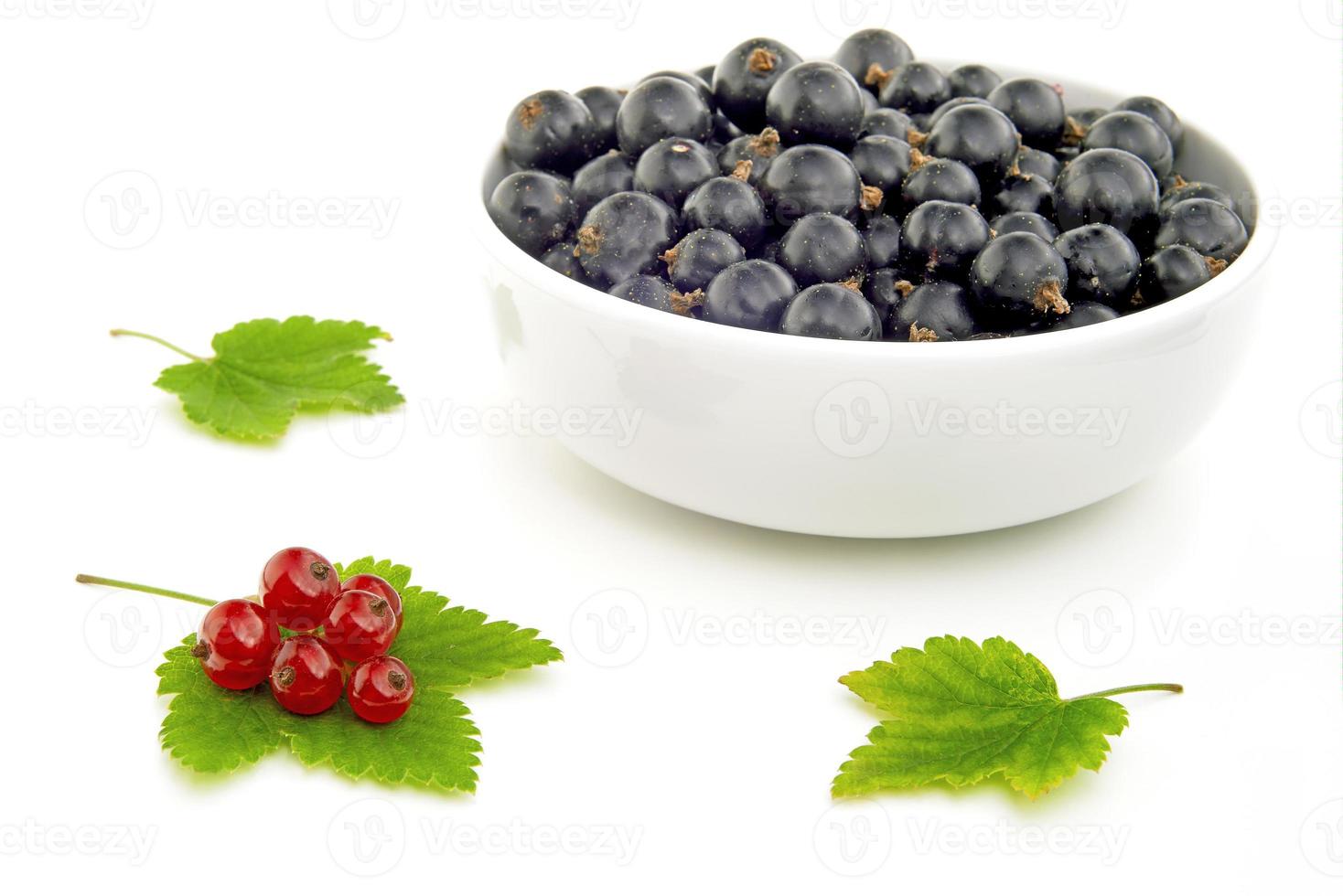 Black and red currant photo