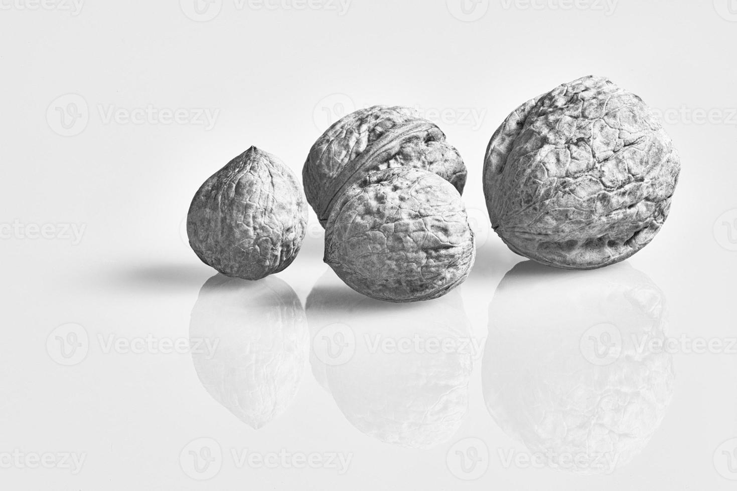 Four walnuts of reflection photo