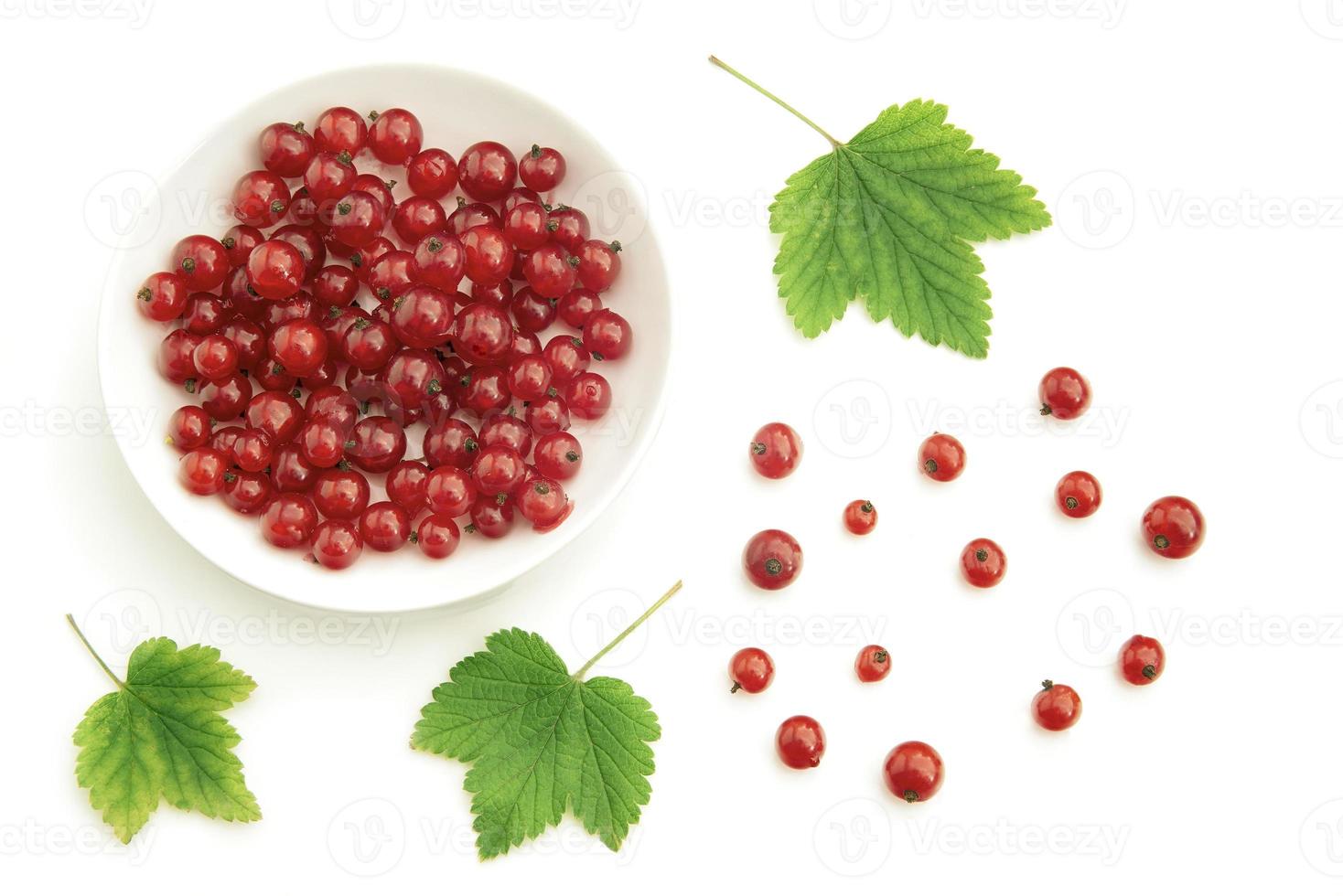 Red currant and bowl photo