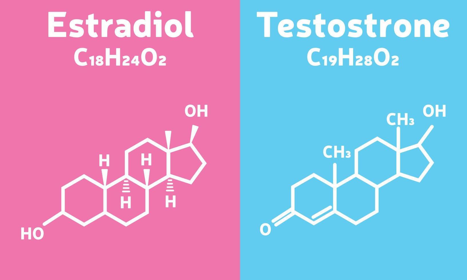 Chemical formula estradiol and testosterone. Man and woman. Gender vector illustration