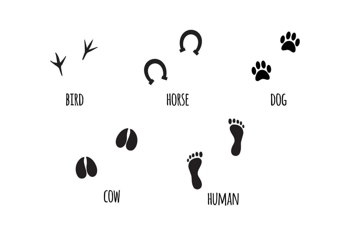 Vector set of black animals foot prints