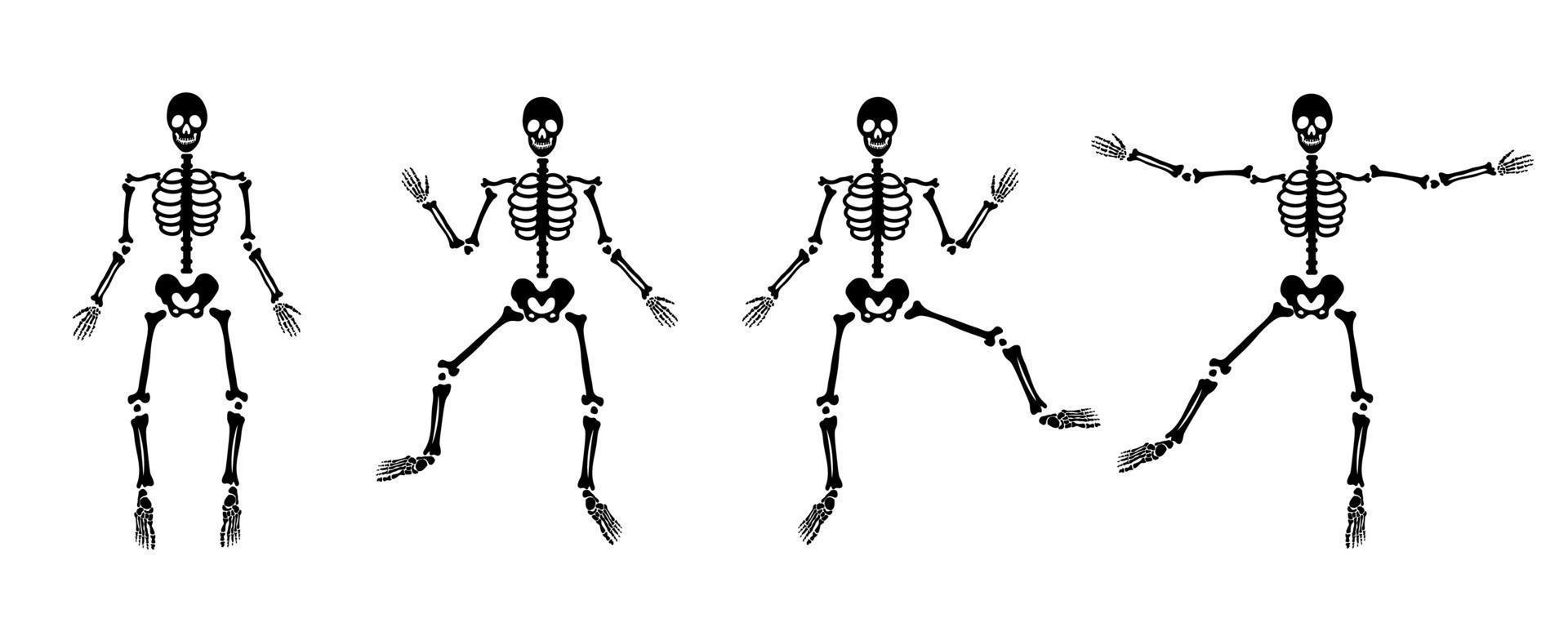 Halloween scary bones skeletons in doodle style. Medicine design. Vector illustration.