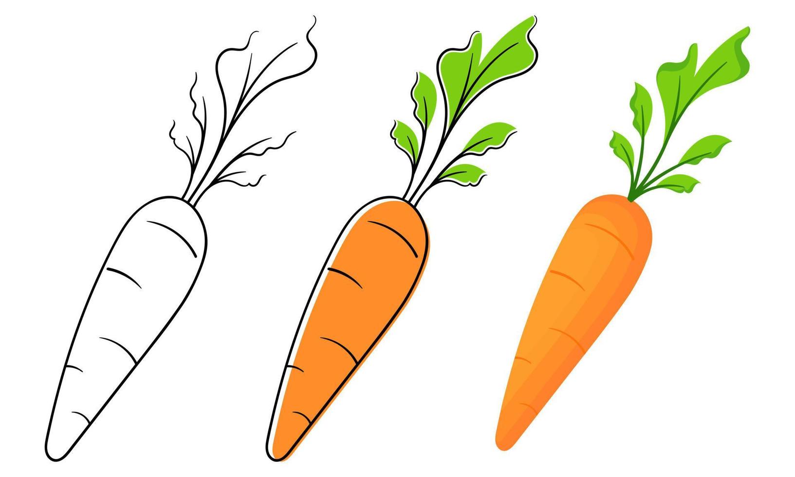 zanahorias con tres tipos de diseños vector