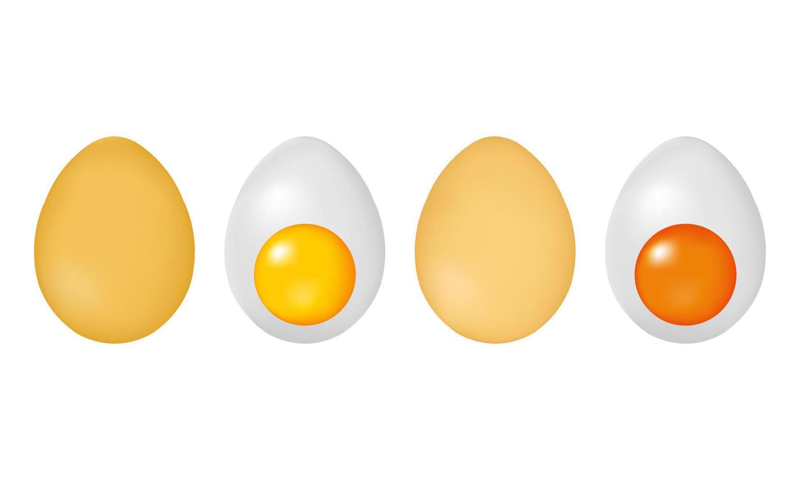 ilustración de huevos de gallina vector