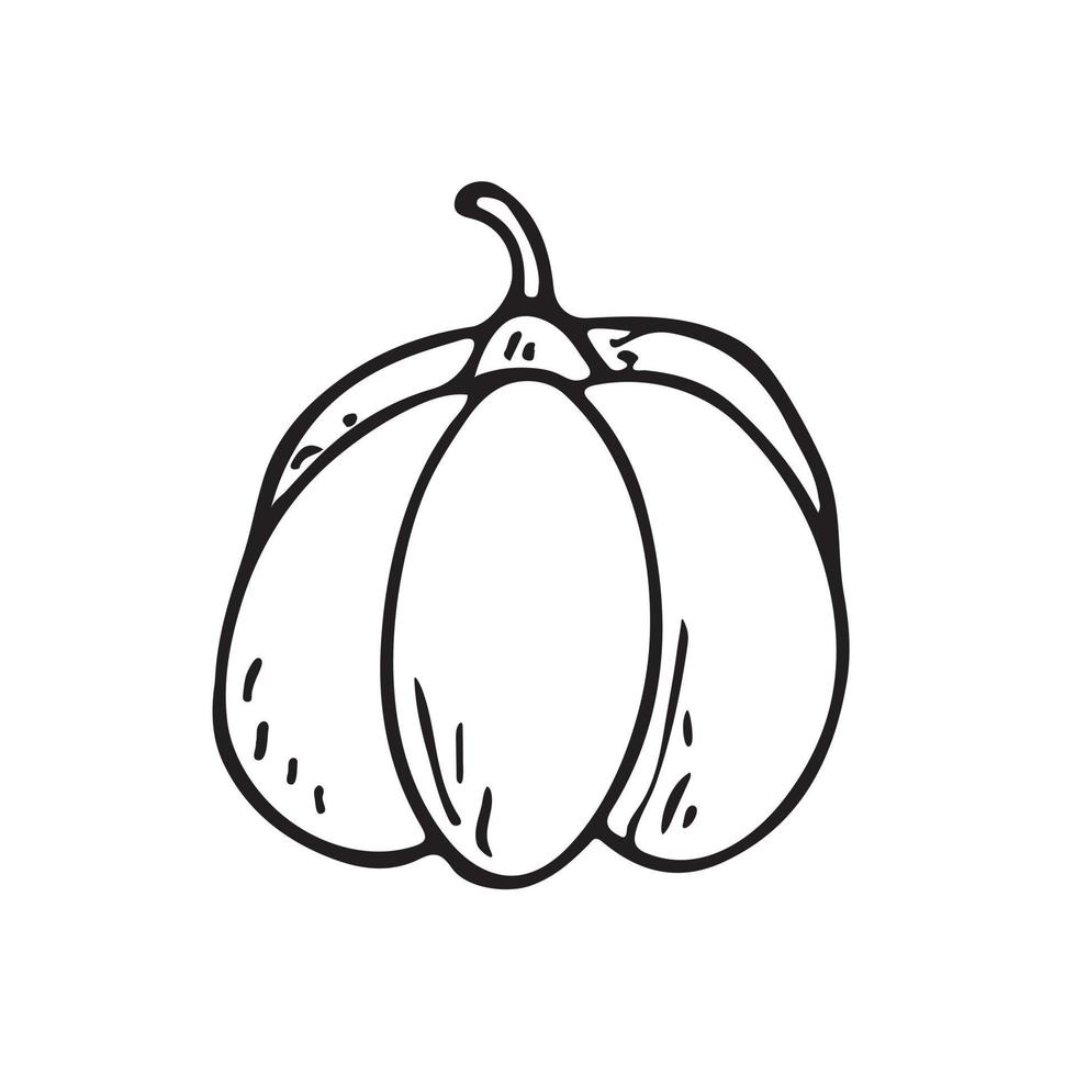 Vector flat illustration on an autumn theme, pumpkin. Doodle object.