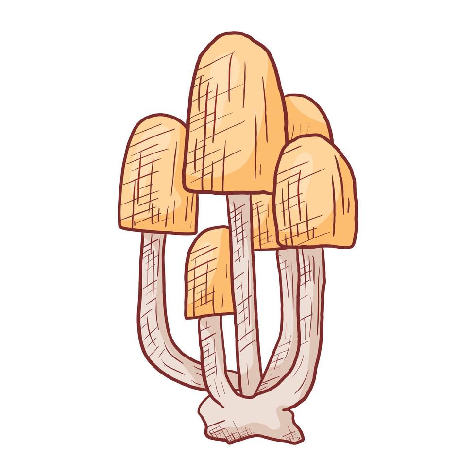 Vector isolated doodle illustration of a bunch of wild toadstools mushrooms.