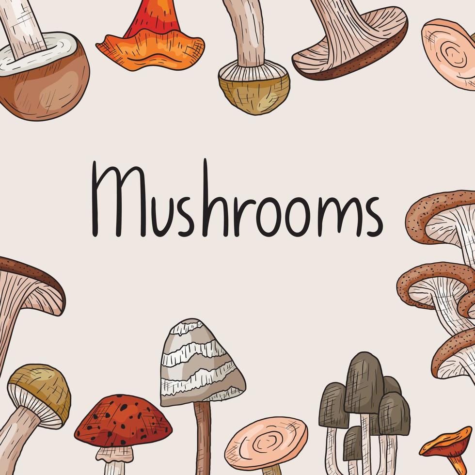Vector illustration or banner with hand lettering. Frame or border with forest mushrooms in doodle style.
