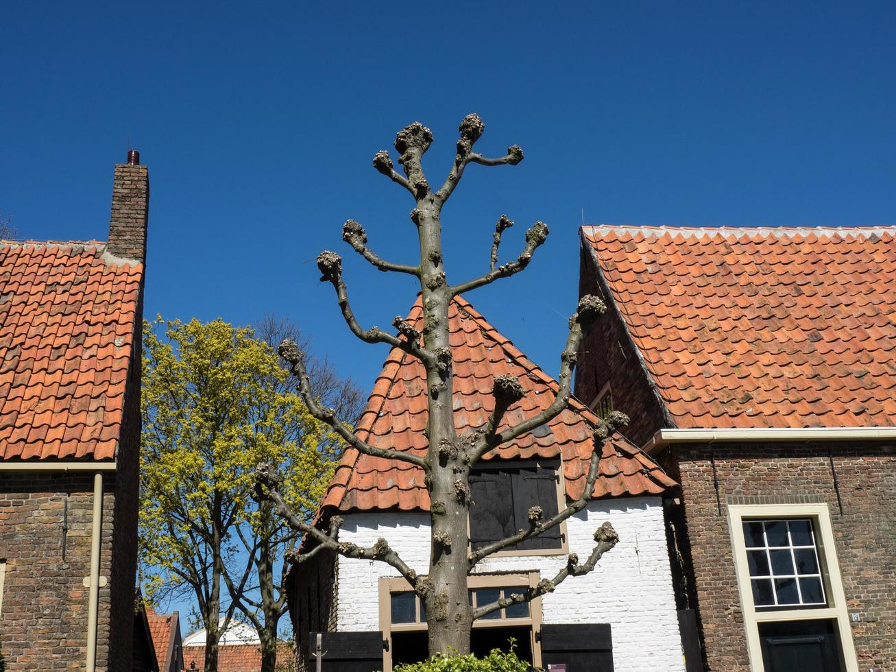 enkhuizen,países bajos,2017-la ciudad de enkhuizen en los países bajos foto