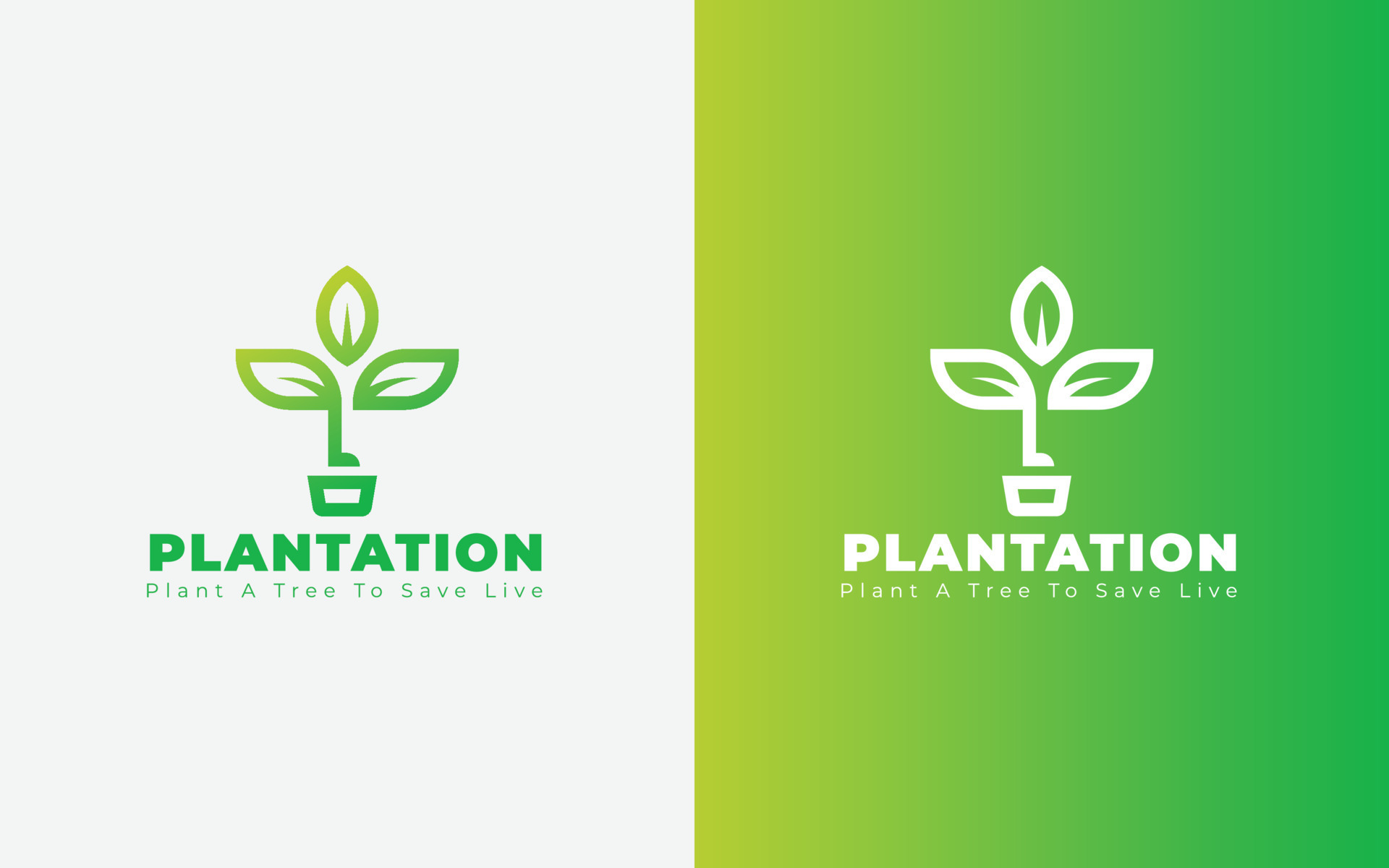 diseño de logotipo de plantación de árboles, planta biológica, logotipo