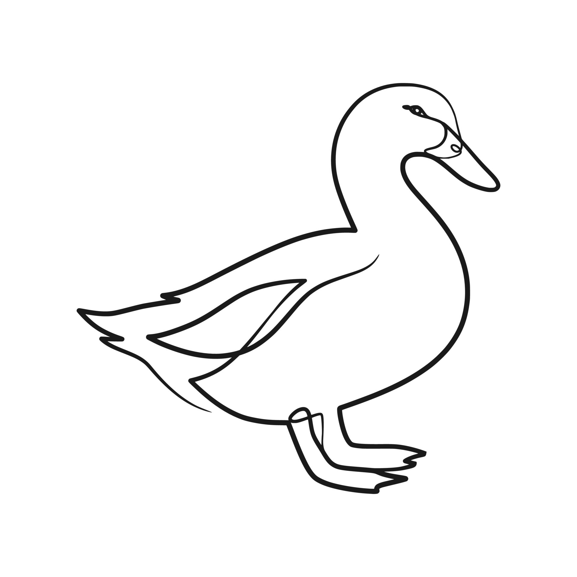 How to Draw Duck very easy step by step  Duck drawing  YouTube