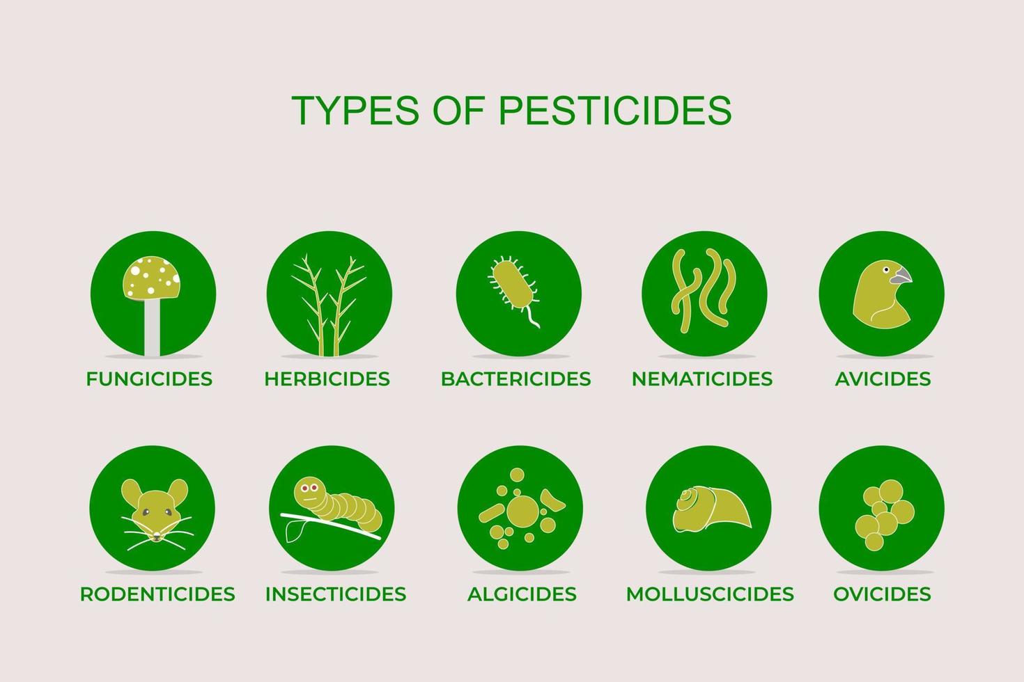 Types of pesticides include herbicides, insecticides, fungicides, molluscicides. Plant protections in agriculture vector