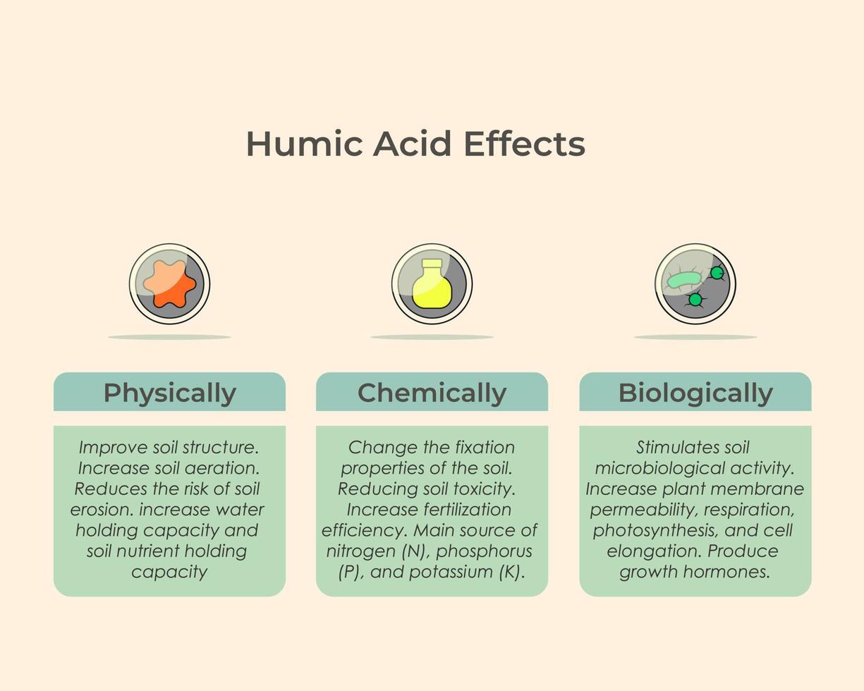 Humid acid effect for soil and plant. Humic acid function in physics, chemistry and biology vector