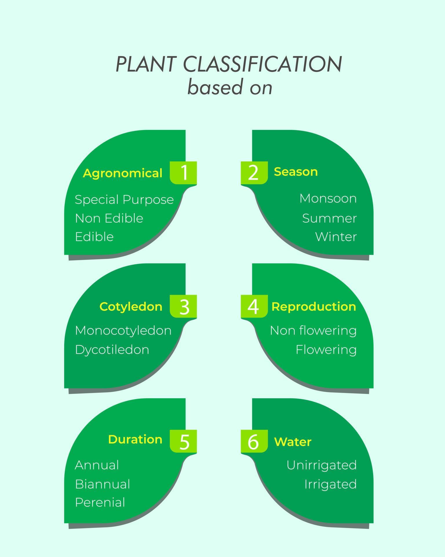 Plant classification based on agronomical, season, cotyledon