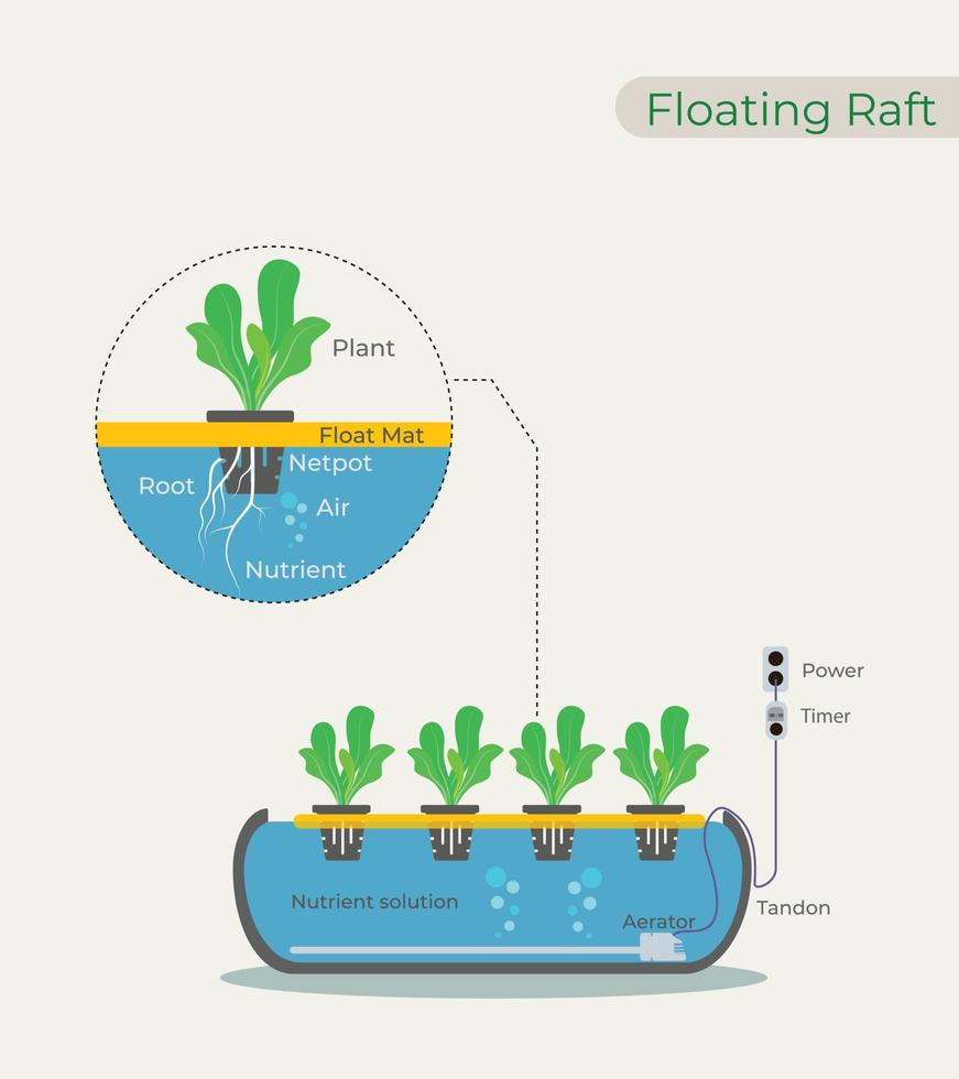 ilustración de hidroponía usando balsa flotante, cultura de aguas profundas dwc vector