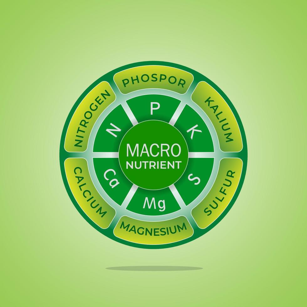 macro de nutrientes vegetales, necesidades principales inseguras de las plantas vector