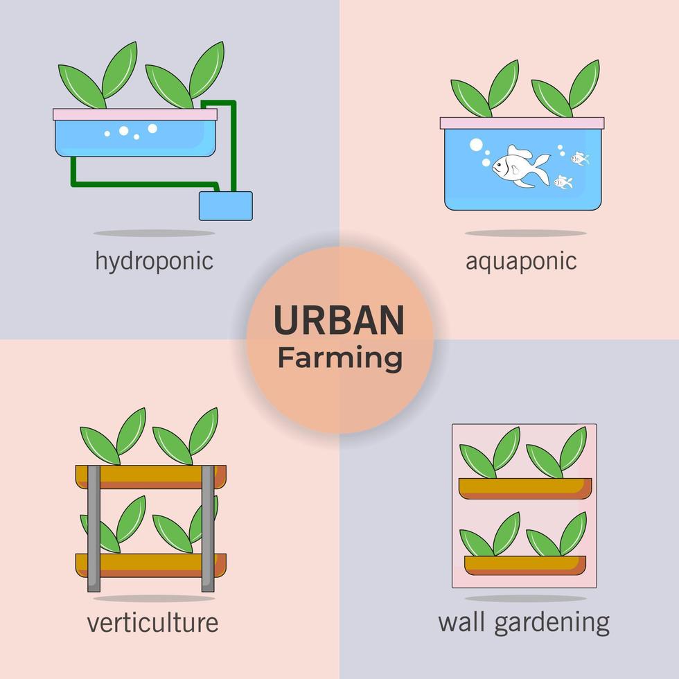 types of urban farming. hydroponic, aquaponic, verticulture, wall gardening vector