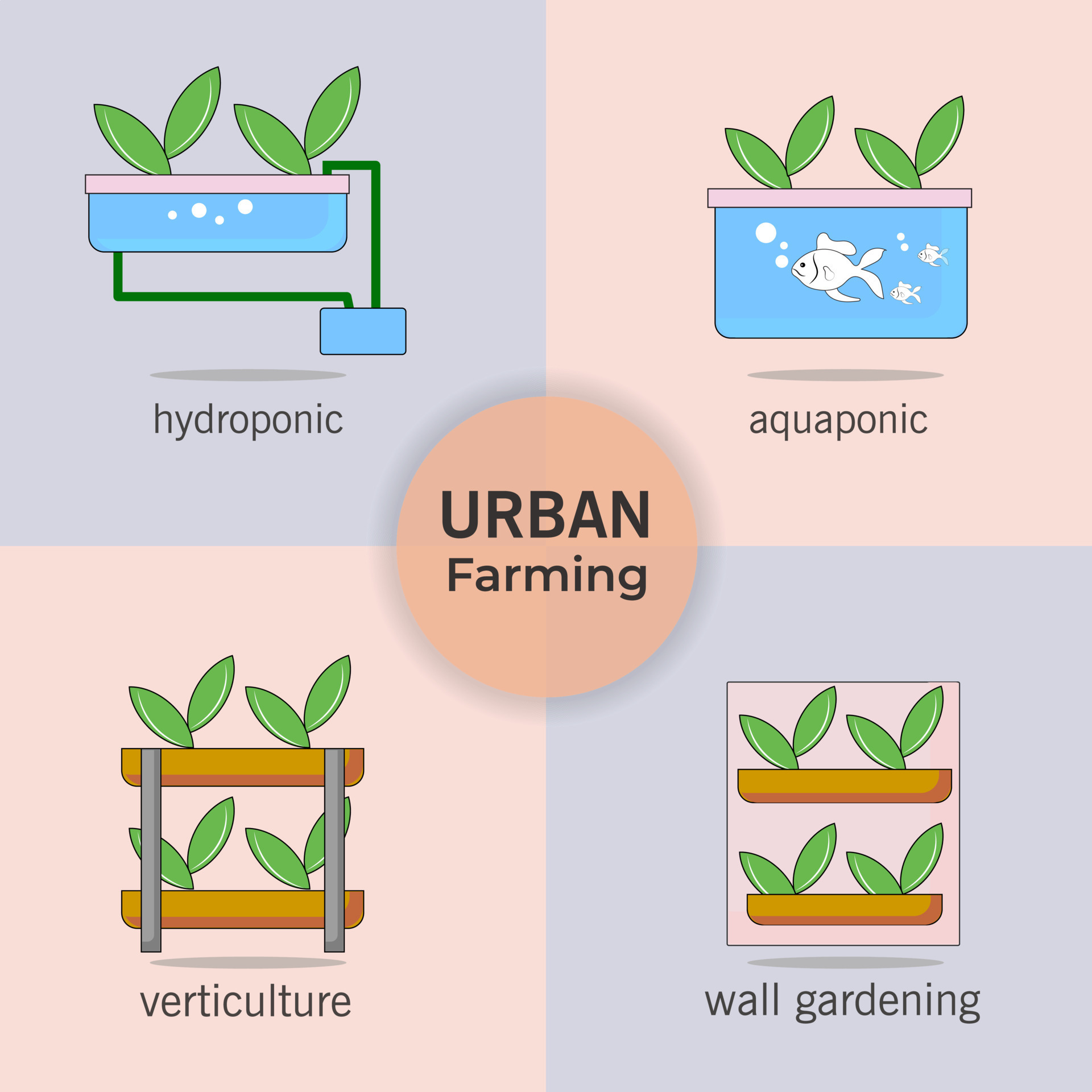 What Are The Types Of Urban Farming What Are The Types Of Urban Farming