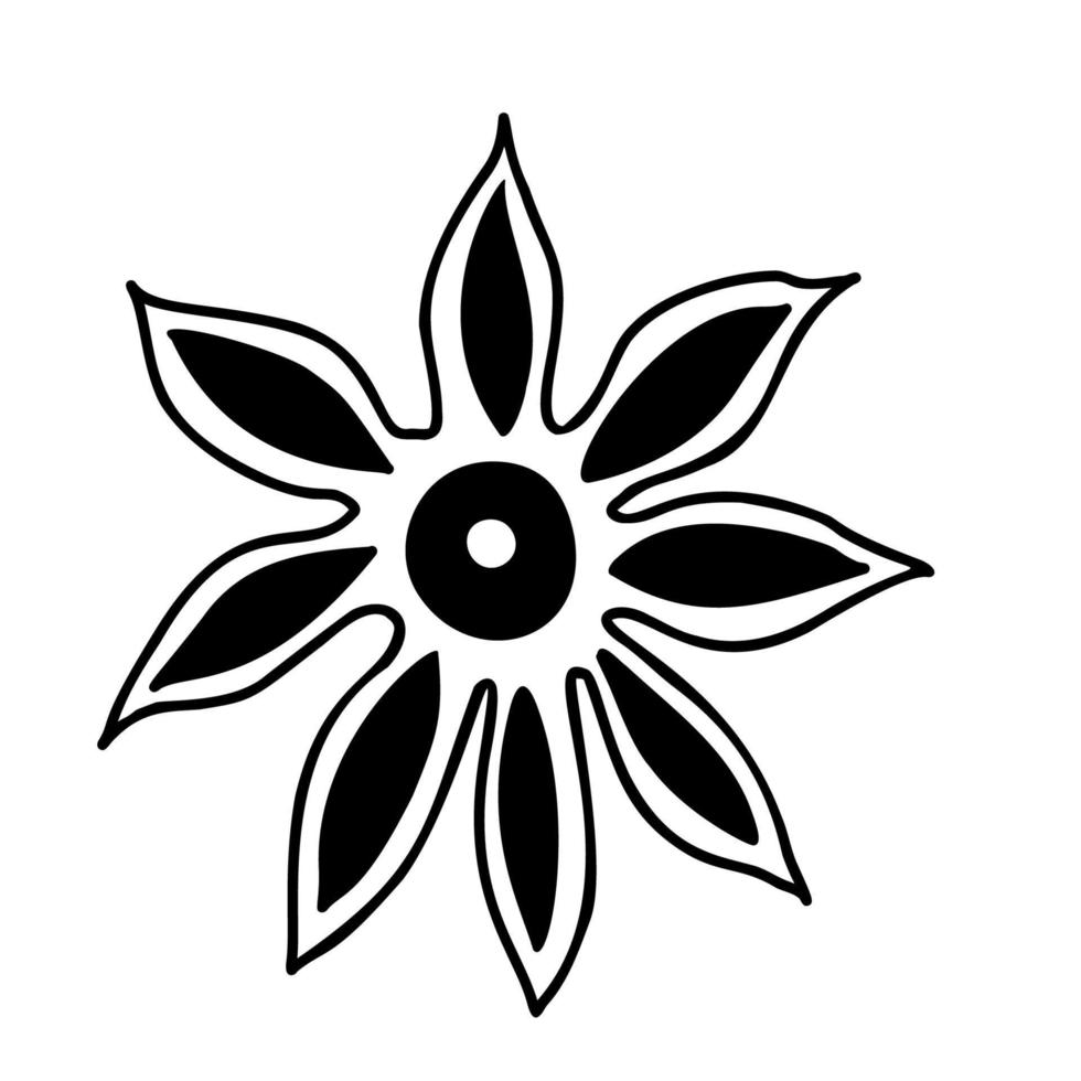 Star anise spice vector