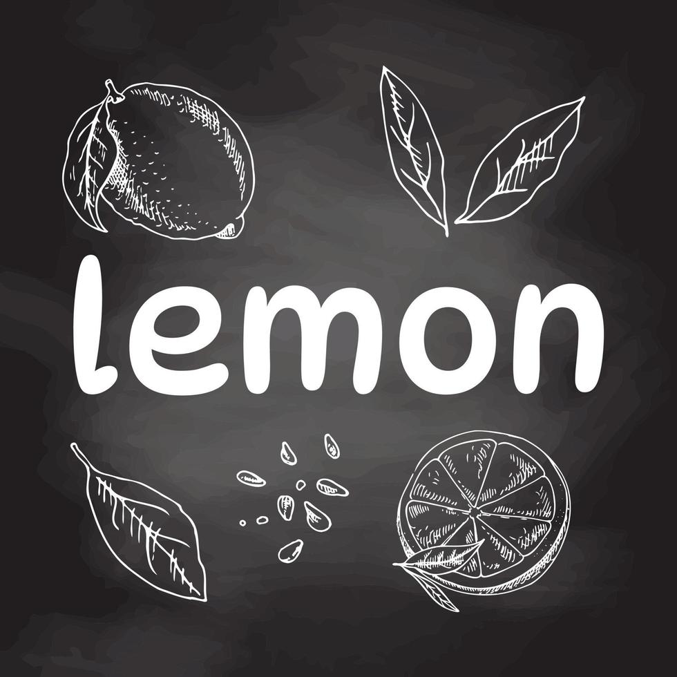 Vector hand drawn lemon set. Whole lemon, sliced pieces, half, leaf and seed sketch. White sketch isolated on black chalkboard. Icons and elements for print, labels, packaging.