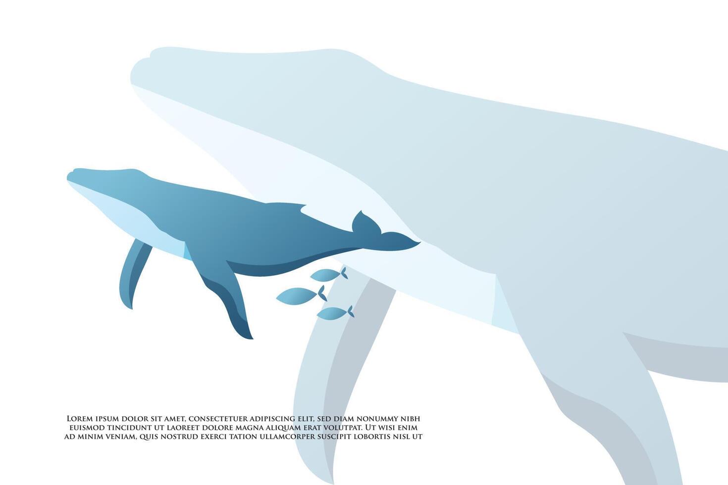 Modern Whale Illustration vector