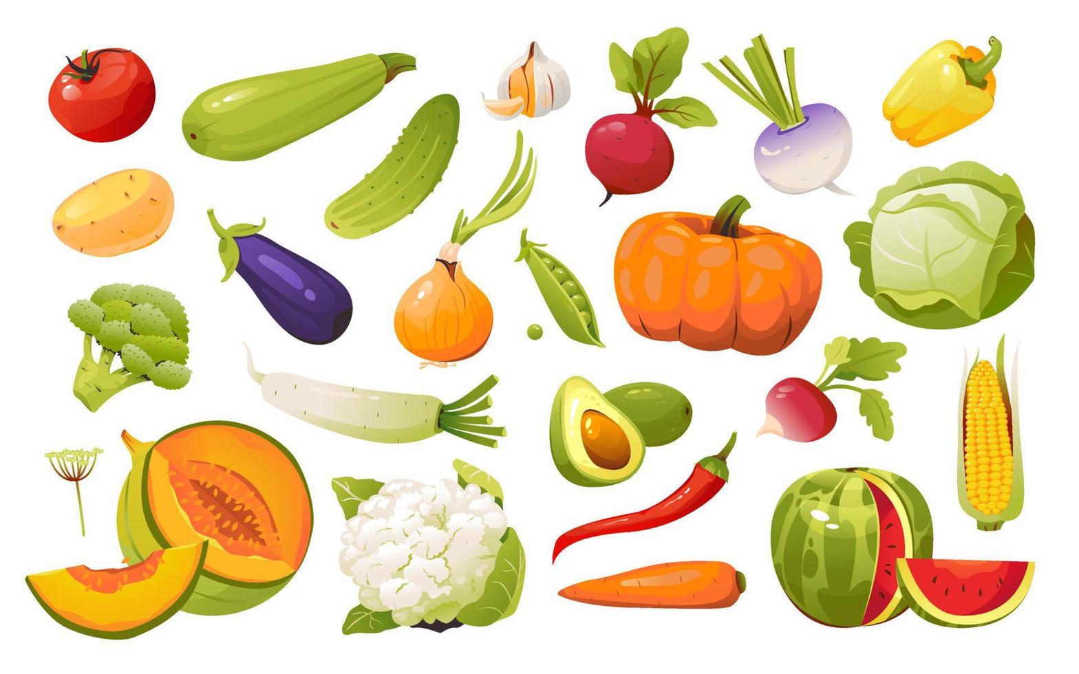 Vegetables set. Natural organic nutrition. Healthy food. Vector illustration isolated on a white background