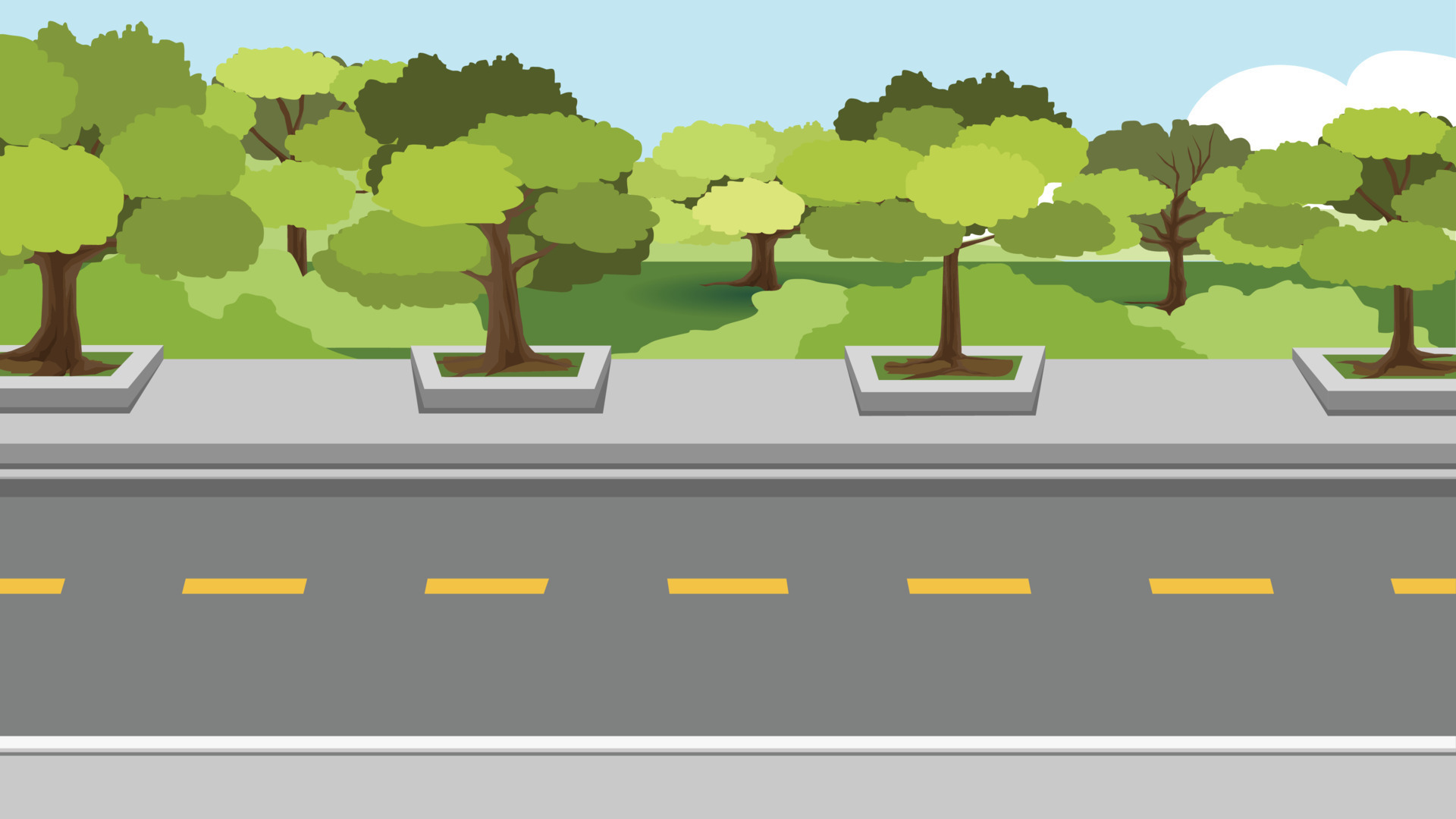 Horizontal view of asphalt road background of trees on footpath and