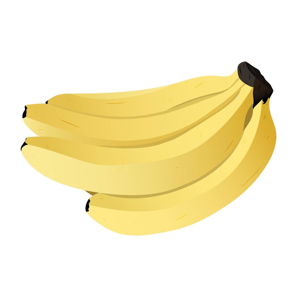 Cartoon bananas. Bunch of bananas isolated on a white background. Vector illustration