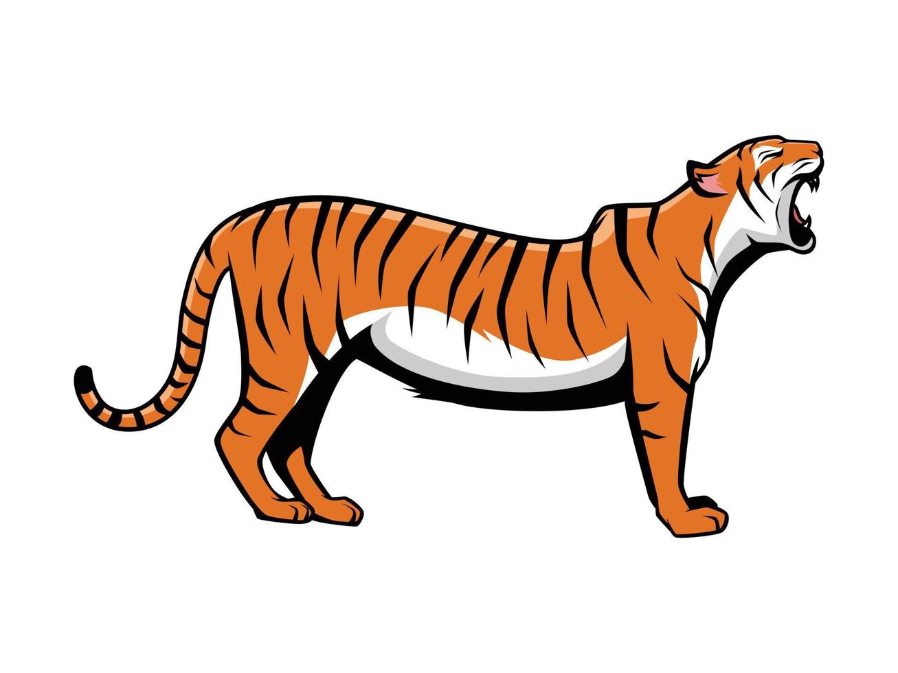 logo de mascota de ilustración de dibujos animados de vector de rugido de tigre aislado en un fondo blanco