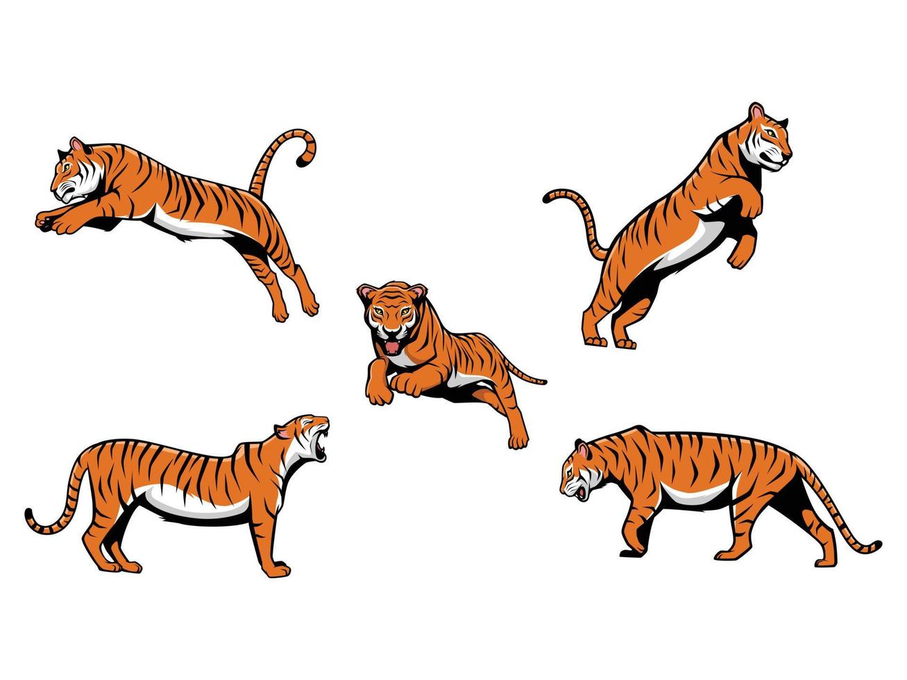 Set of Tigers Vector Cartoon Illustration Mascot Logo Isolated on a White Background