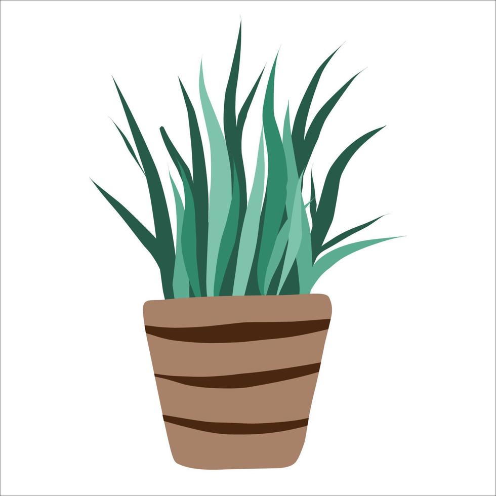 Vector illustration of a flower, a plant growing in a pot. A house plant . The icon is a potted house plant. Isolated on a white background