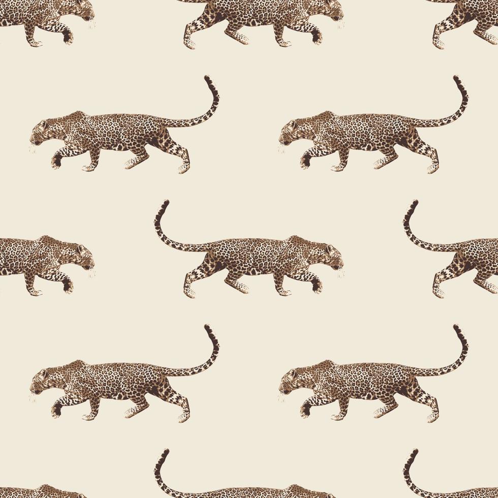 Leopard vector pattern isolated on Off White background. Design for use backdrop wrapping paper all over textile fabric print and others