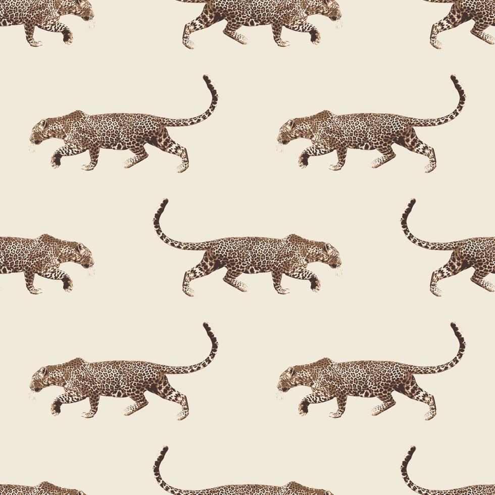 Leopard vector pattern isolated on Off White background. Design for use backdrop wrapping paper all over textile fabric print and others