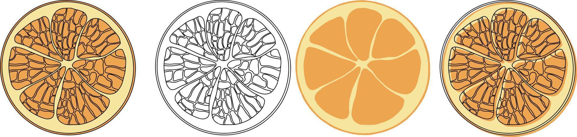 Fresh oranges for fabric, drawing labels, print on t-shirt, wallpaper of children's room. Slices of orange cartoon style isolated on white background vector