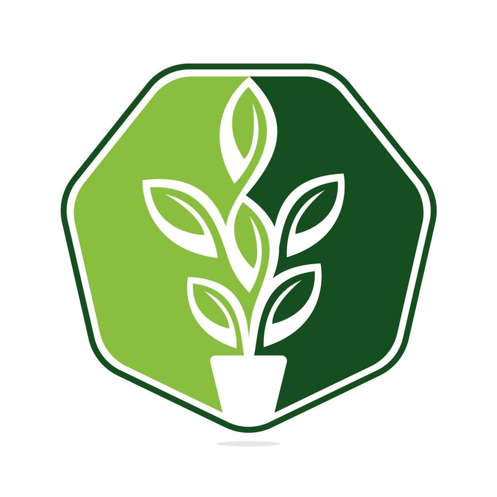Flowers Pot and Plant Pot Vector Illustration Design. Green Tree on Pot Logo Design.