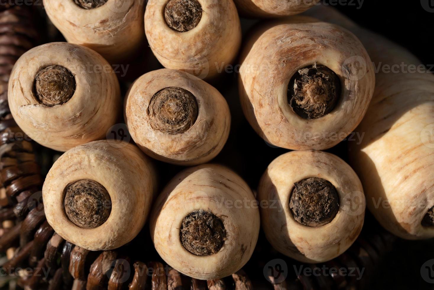 Parsnips are in a wicker basket and are photographed from above photo