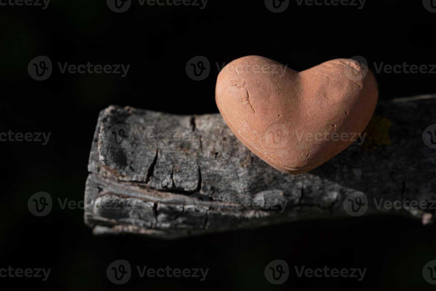 Close-up of an earthen heart lying on a dry piece of wood, against a dark background with green spots of leaves photo
