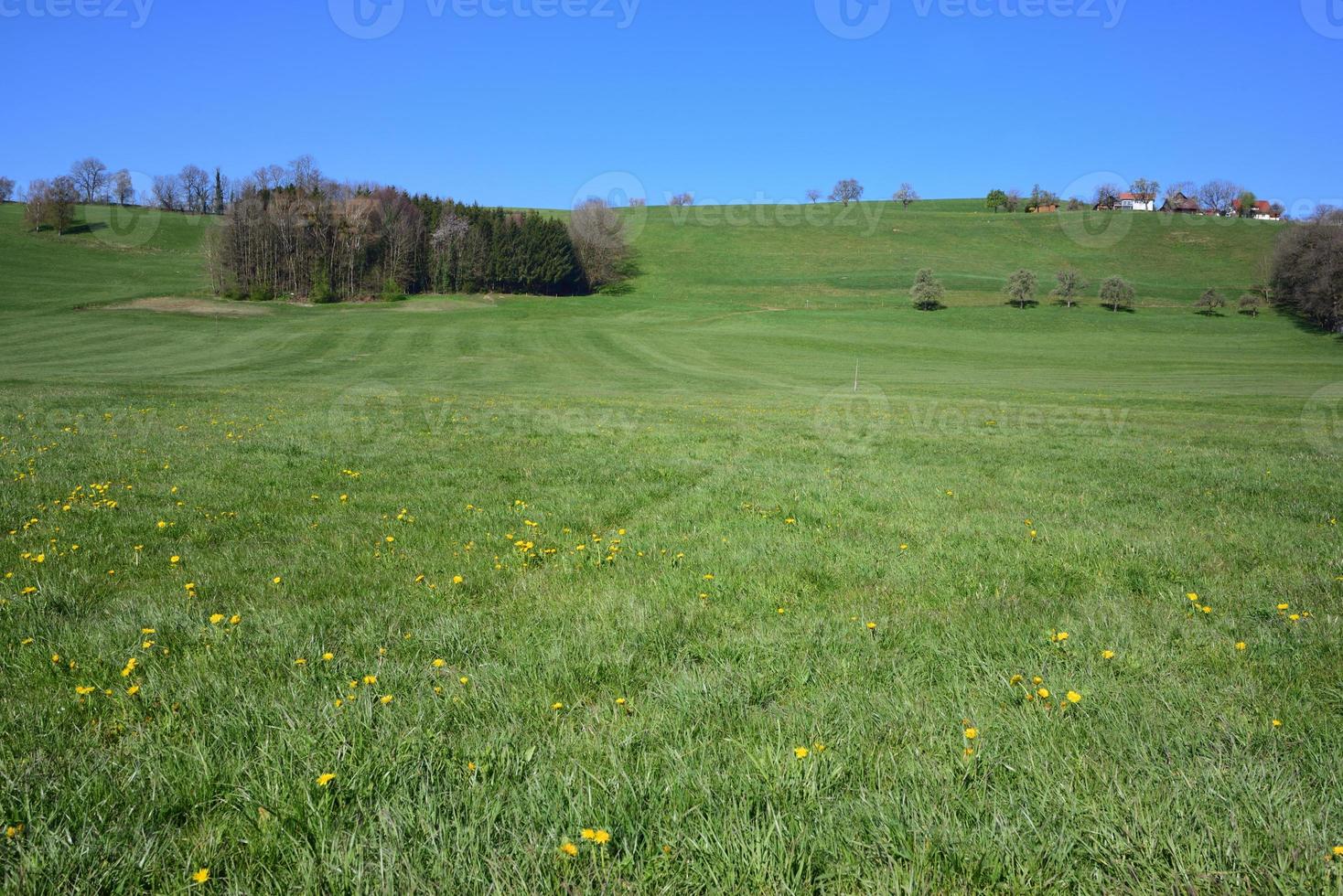toma escénica de un prado verde en primavera en el sur de alemania, en una suave colina con casas y contra un cielo azul foto