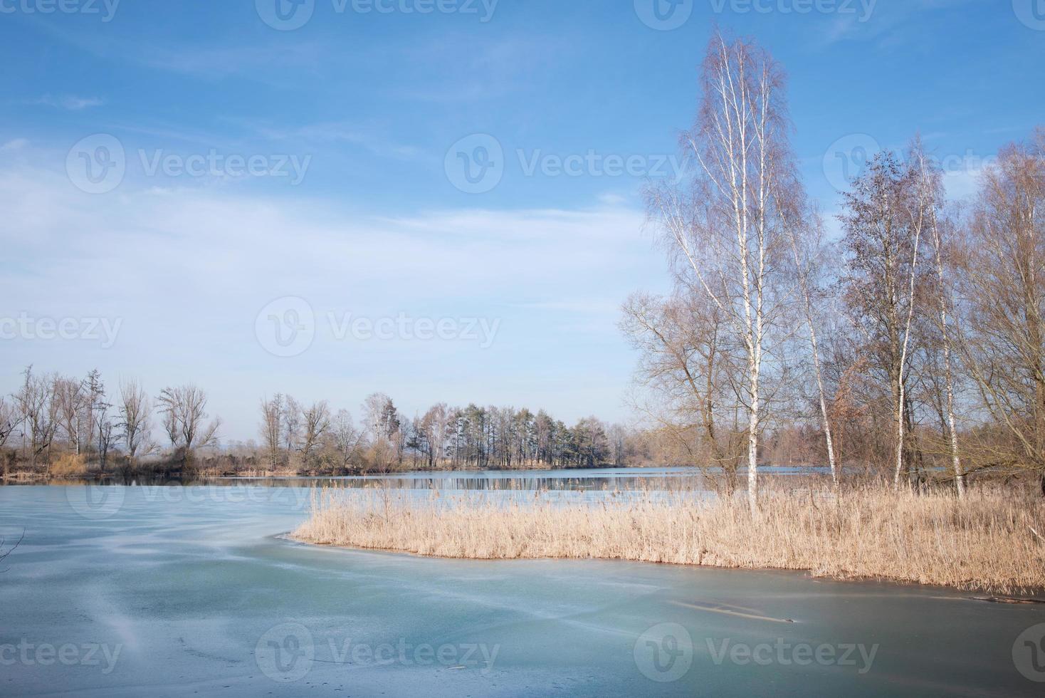 In winter, bare birches and other trees and bushes stand against a blue sky by a partially frozen lake in Bavaria photo