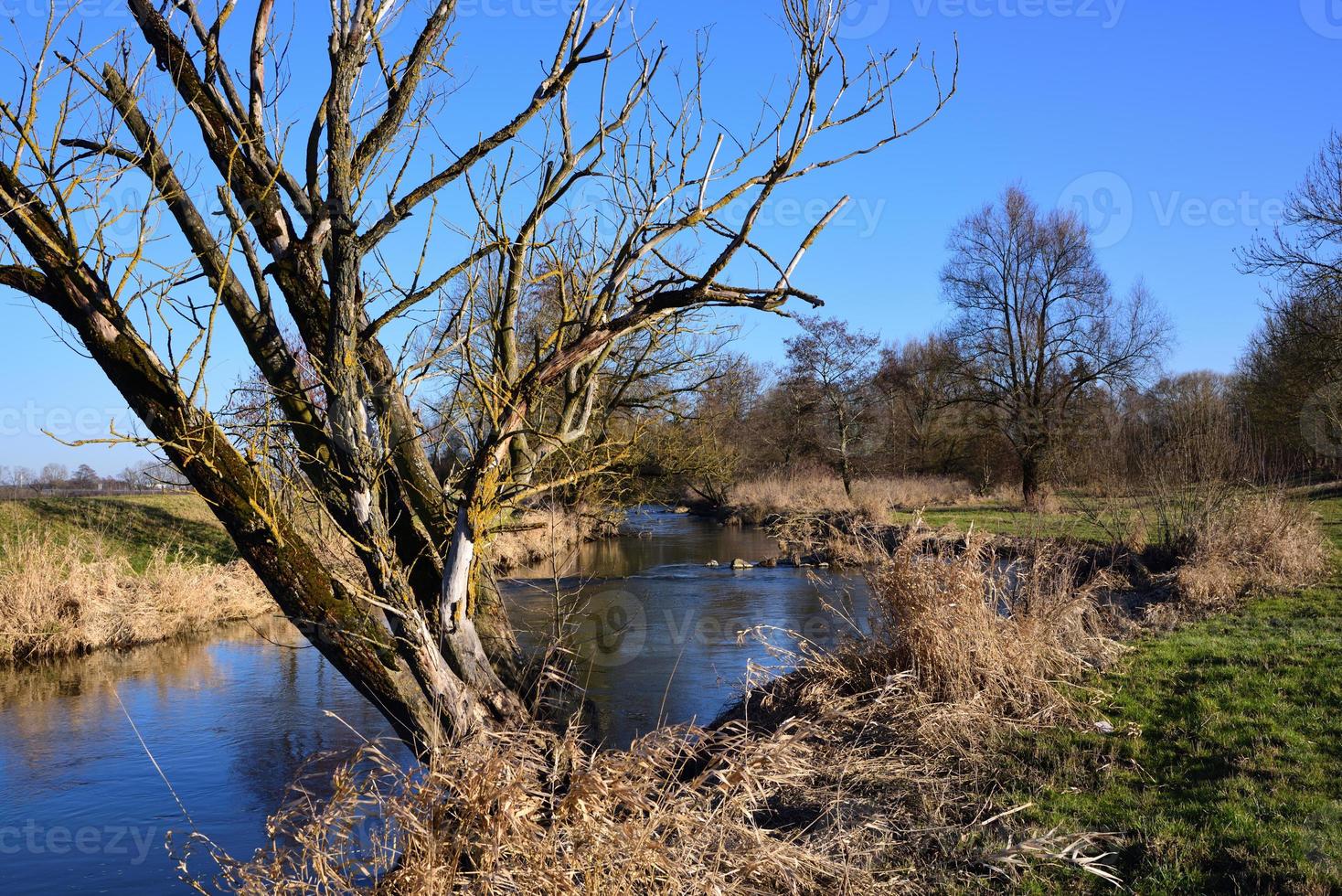 Typical river landscape in February in Bavarian Swabia with dead deciduous trees and lots of plants around them, with sunshine and blue skies photo