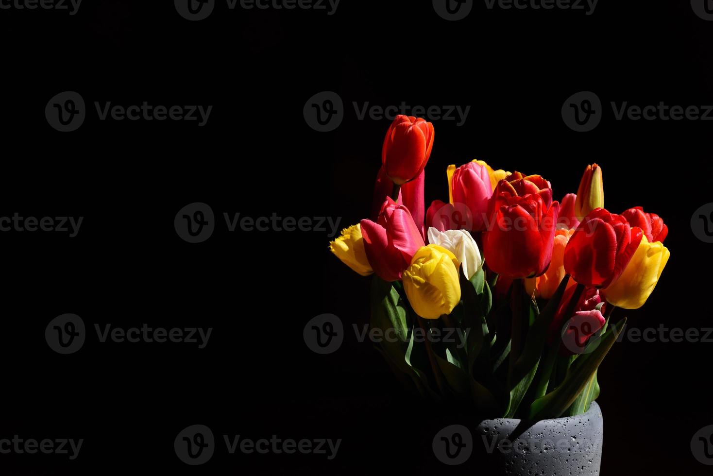 In front of a black background in landscape format, with space for text, stands a flower vase with brightly colored tulips on the side photo