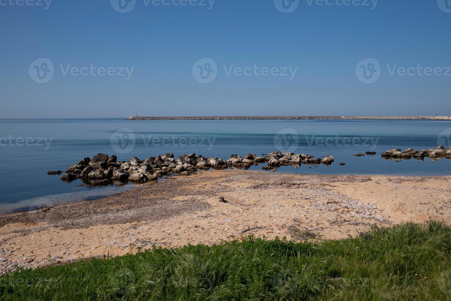 Landscape of a coast by the sea with stand and wild plants in the foreground photo