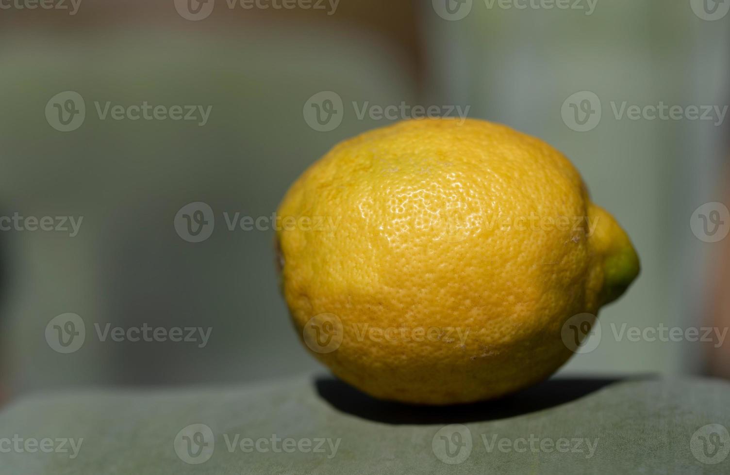 Close up of a fresh yellow lemon on the leaf of an agave against a green background photo